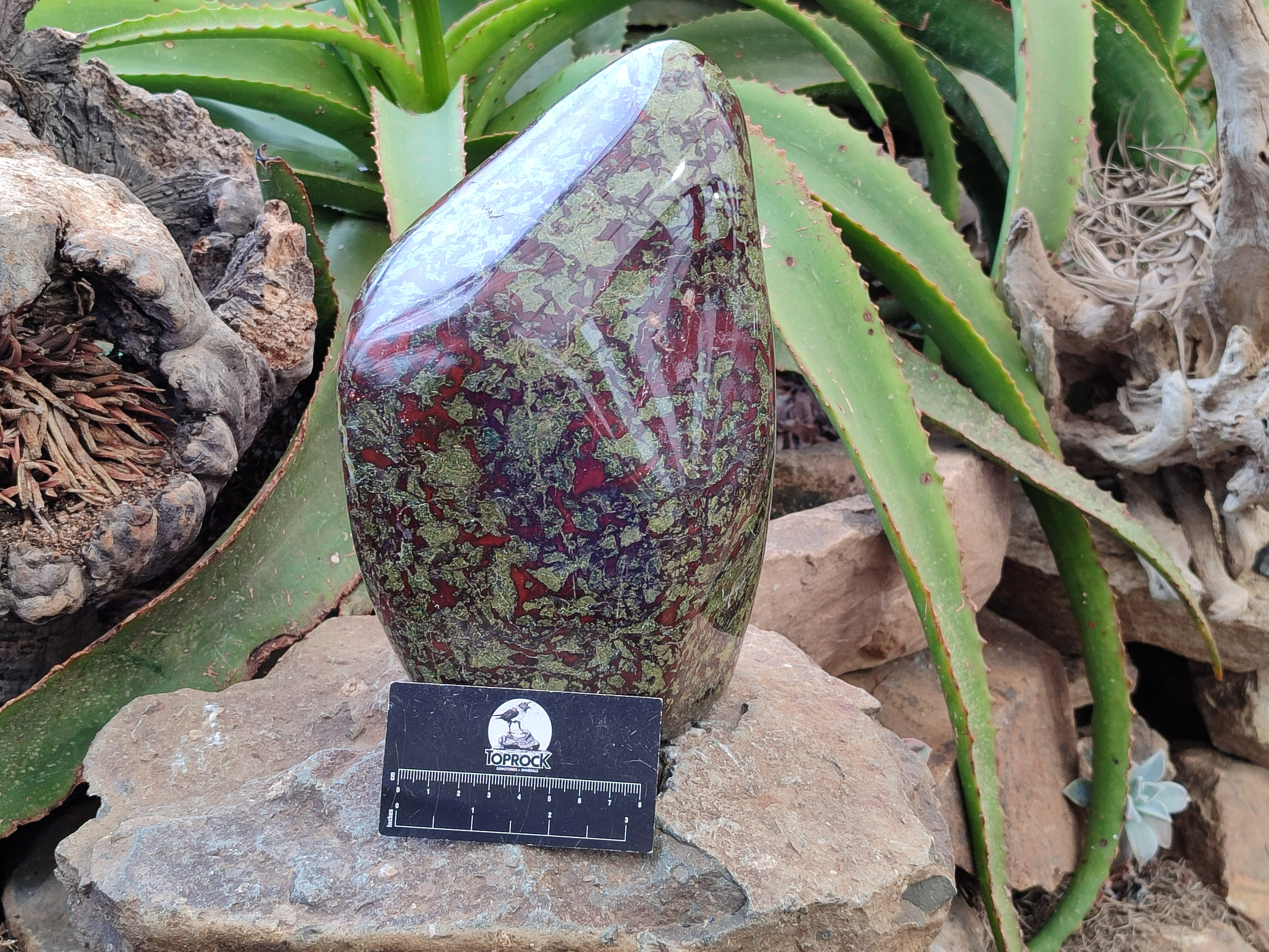 Polished Bastite Dragons Blood Stone Standing Free Form x 1 From Tshipise, South Africa - Toprock Gemstones and Minerals 