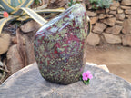 Polished Bastite Dragons Blood Stone Standing Free Form x 1 From Tshipise, South Africa - Toprock Gemstones and Minerals 