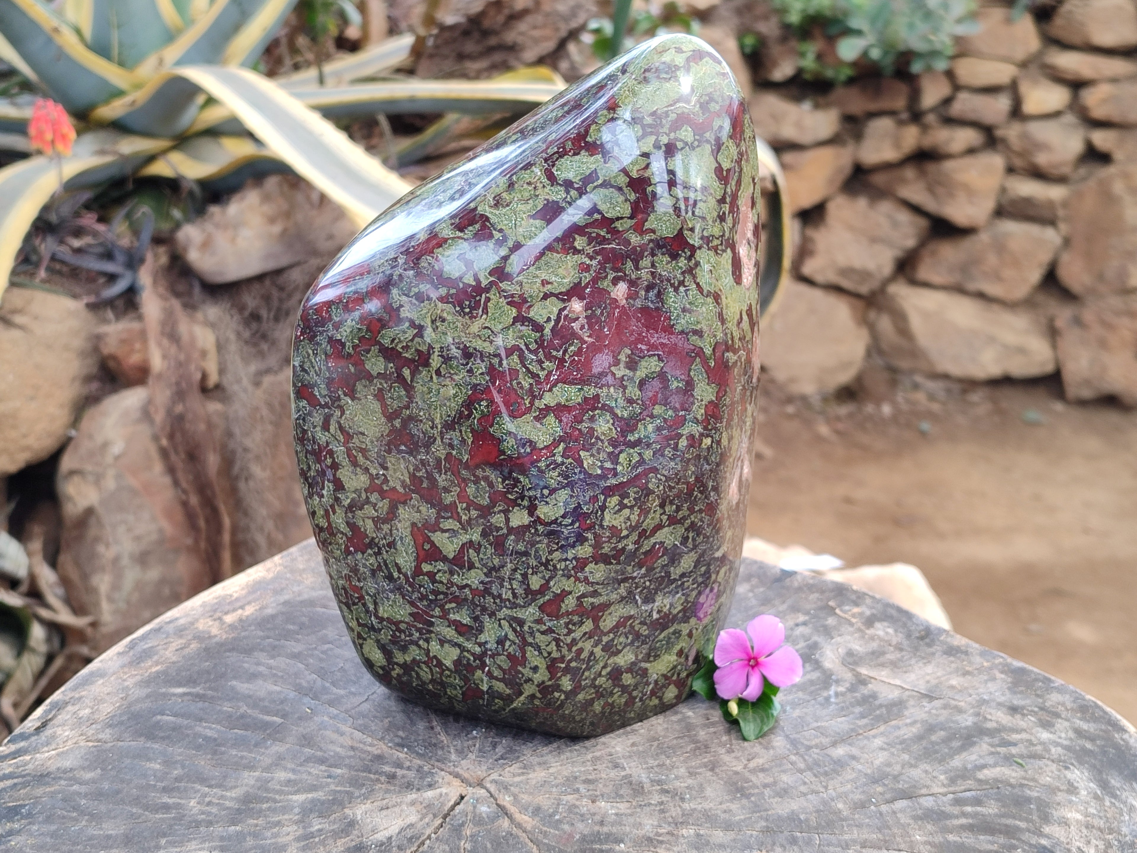 Polished Bastite Dragons Blood Stone Standing Free Form x 1 From Tshipise, South Africa - Toprock Gemstones and Minerals 