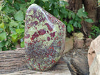 Polished Bastite Dragons Blood Stone Standing Free Form x 1 From Tshipise, South Africa - Toprock Gemstones and Minerals 