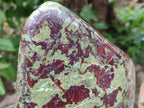 Polished Bastite Dragons Blood Stone Standing Free Form x 1 From Tshipise, South Africa - Toprock Gemstones and Minerals 