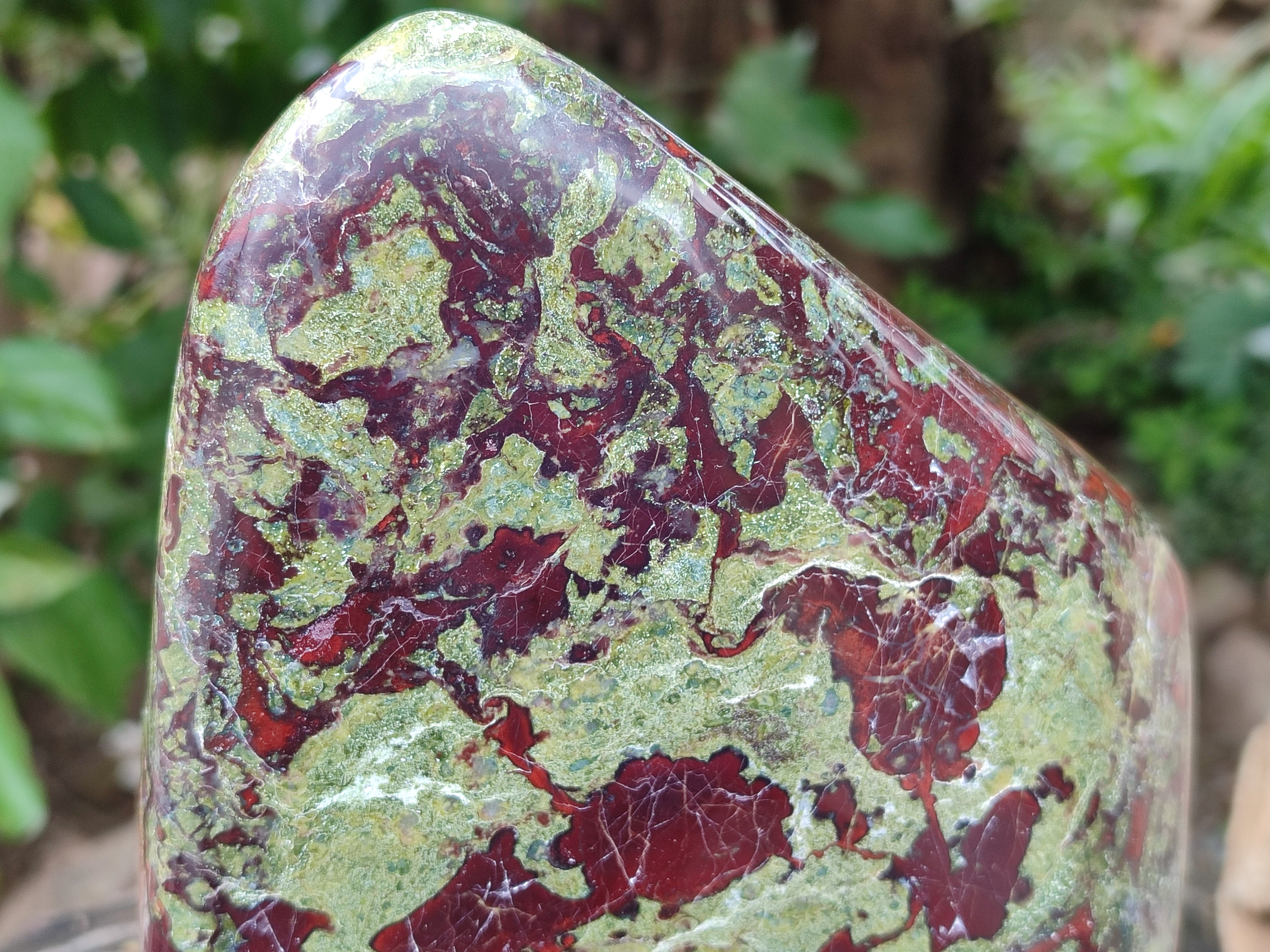 Polished Bastite Dragons Blood Stone Standing Free Form x 1 From Tshipise, South Africa - Toprock Gemstones and Minerals 