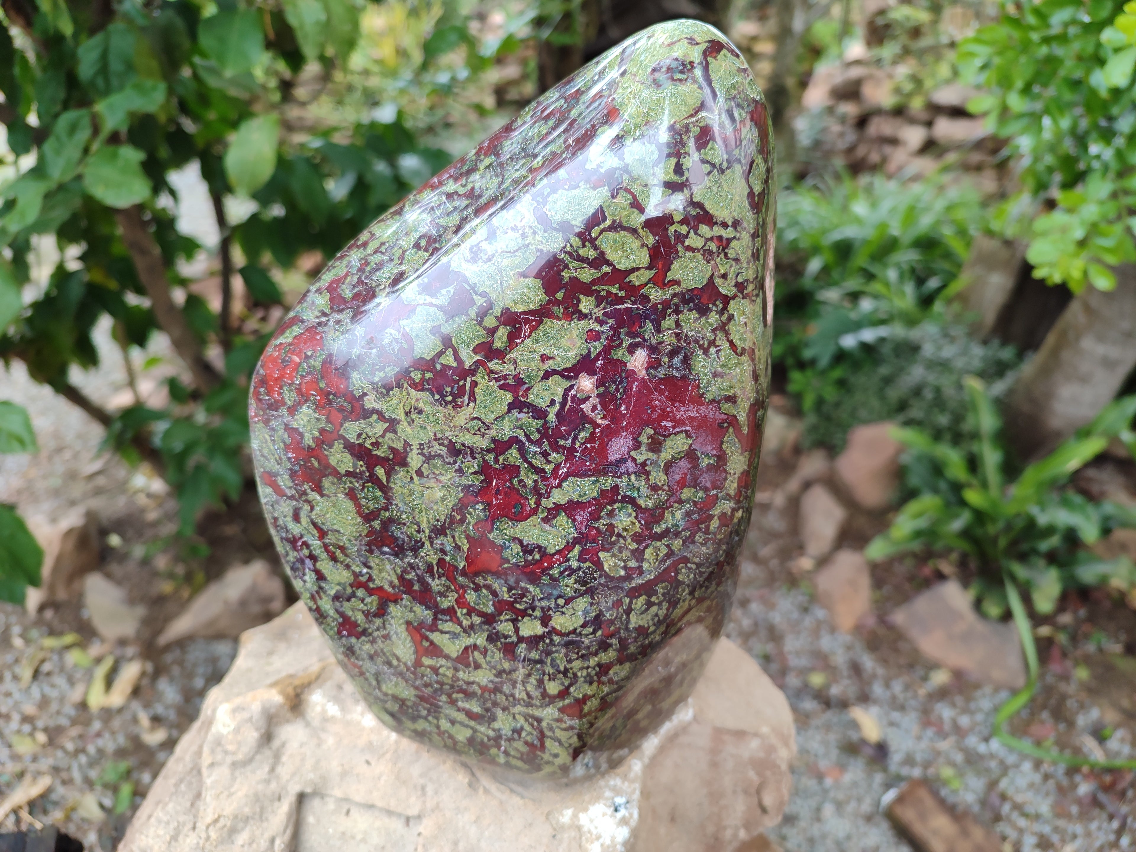 Polished Bastite Dragons Blood Stone Standing Free Form x 1 From Tshipise, South Africa - Toprock Gemstones and Minerals 