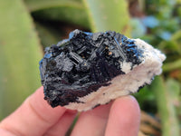 Natural Schorl Black Tourmaline with Hyalite Opal x 12 From Erongo, Namibia - Toprock Gemstones and Minerals 