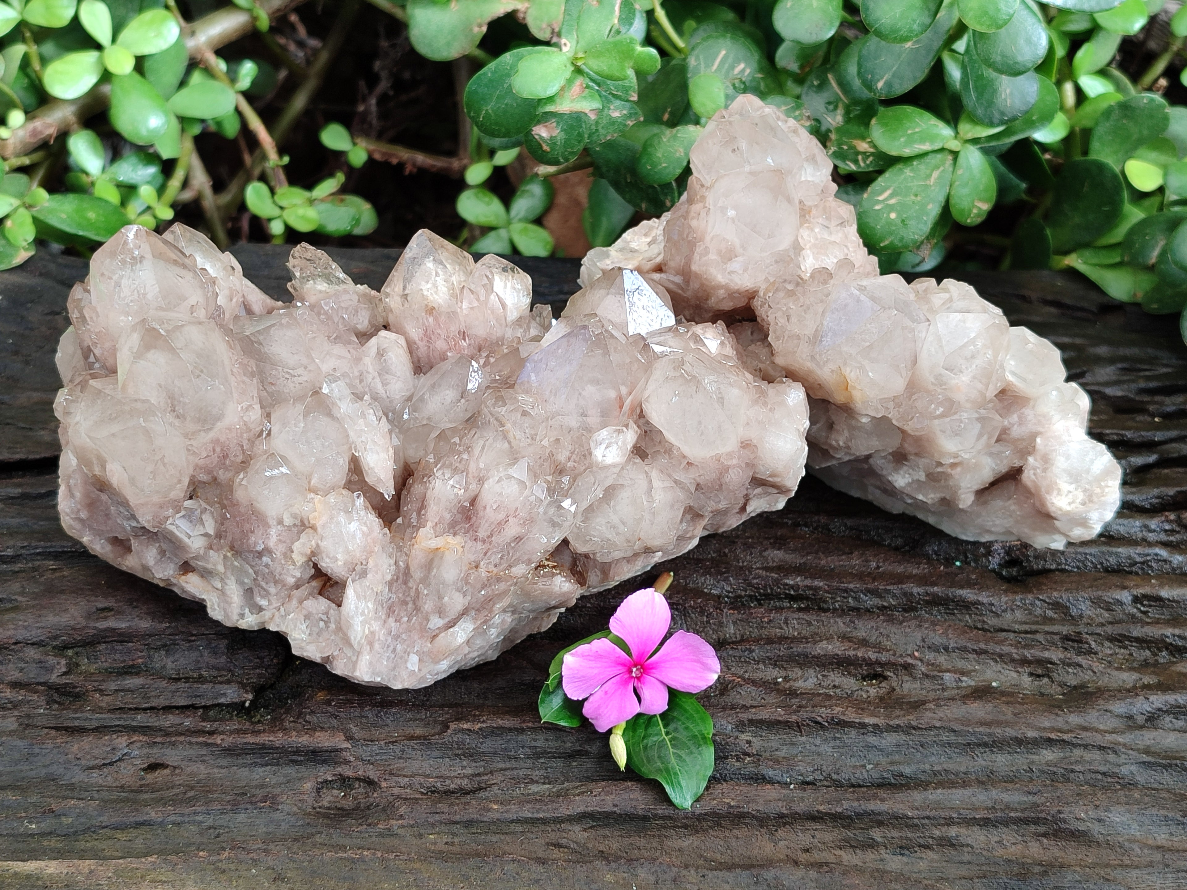 Natural Phantom Cascading Smokey Quartz Clusters x 2 From Luena, Congo - Toprock Gemstones and Minerals 