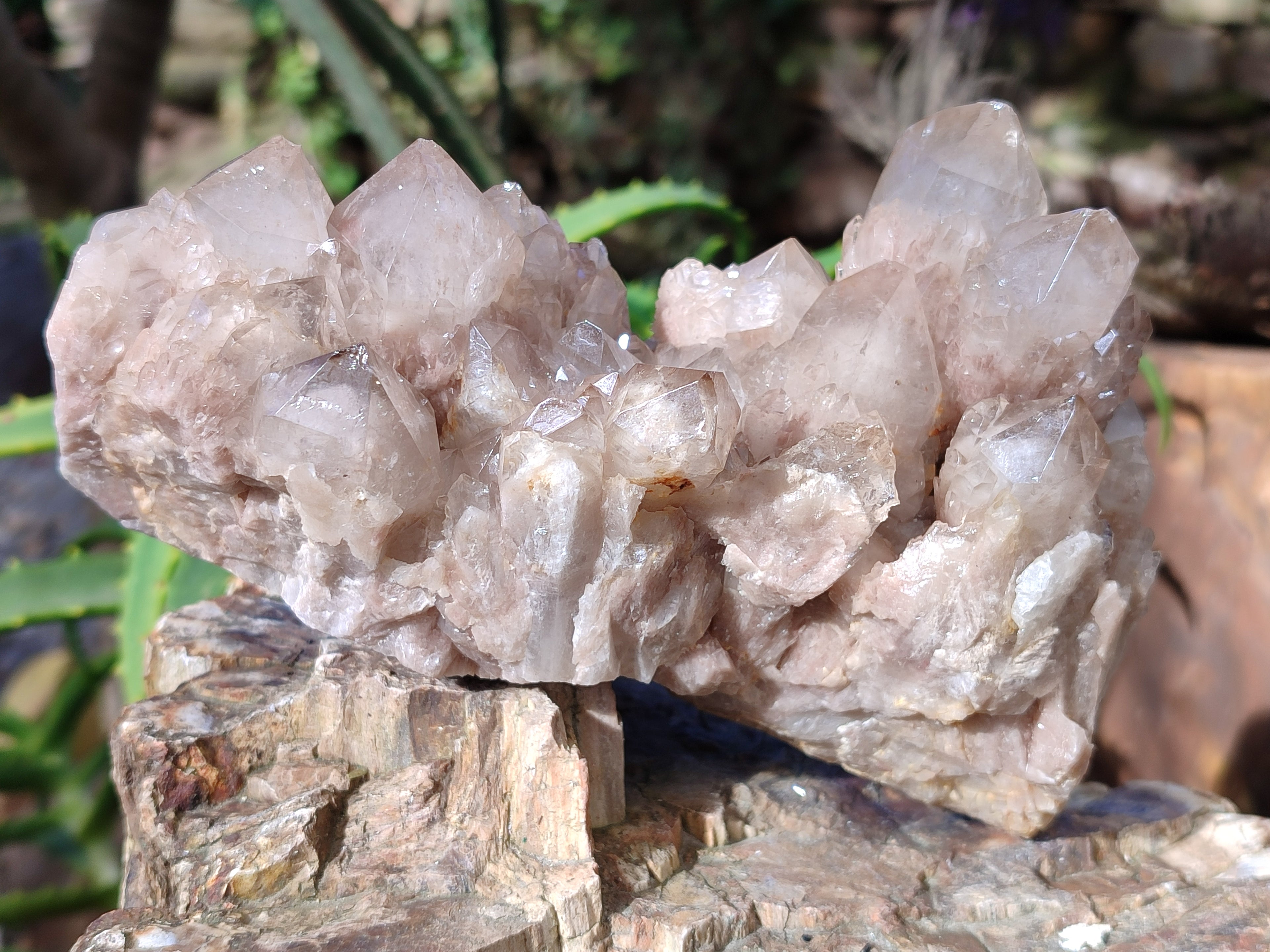 Natural Phantom Cascading Smokey Quartz Clusters x 2 From Luena, Congo - Toprock Gemstones and Minerals 