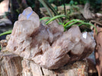 Natural Phantom Cascading Smokey Quartz Clusters x 2 From Luena, Congo - Toprock Gemstones and Minerals 