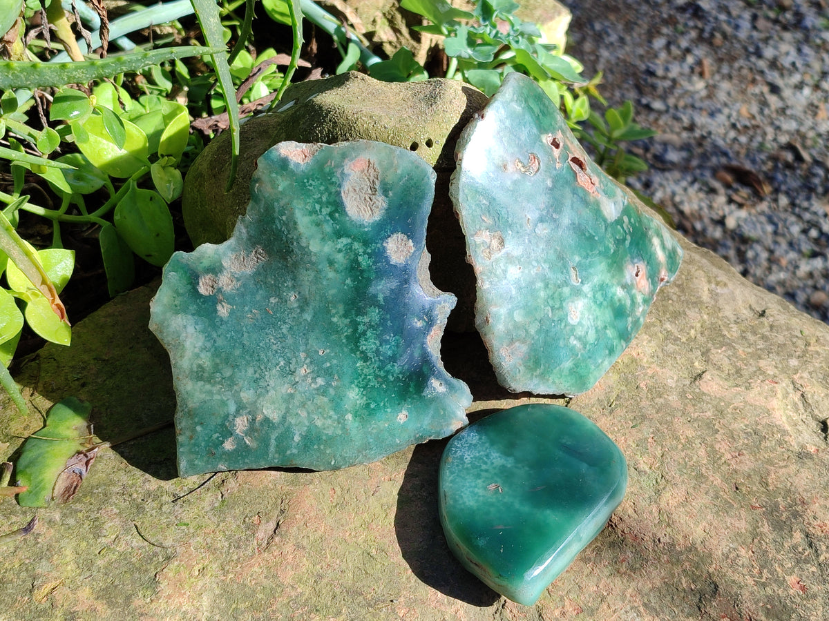 Polished On One Side Emerald Mtorolite Plates x 3 From Mutorashanga, Zimbabwe - Toprock Gemstones and Minerals 
