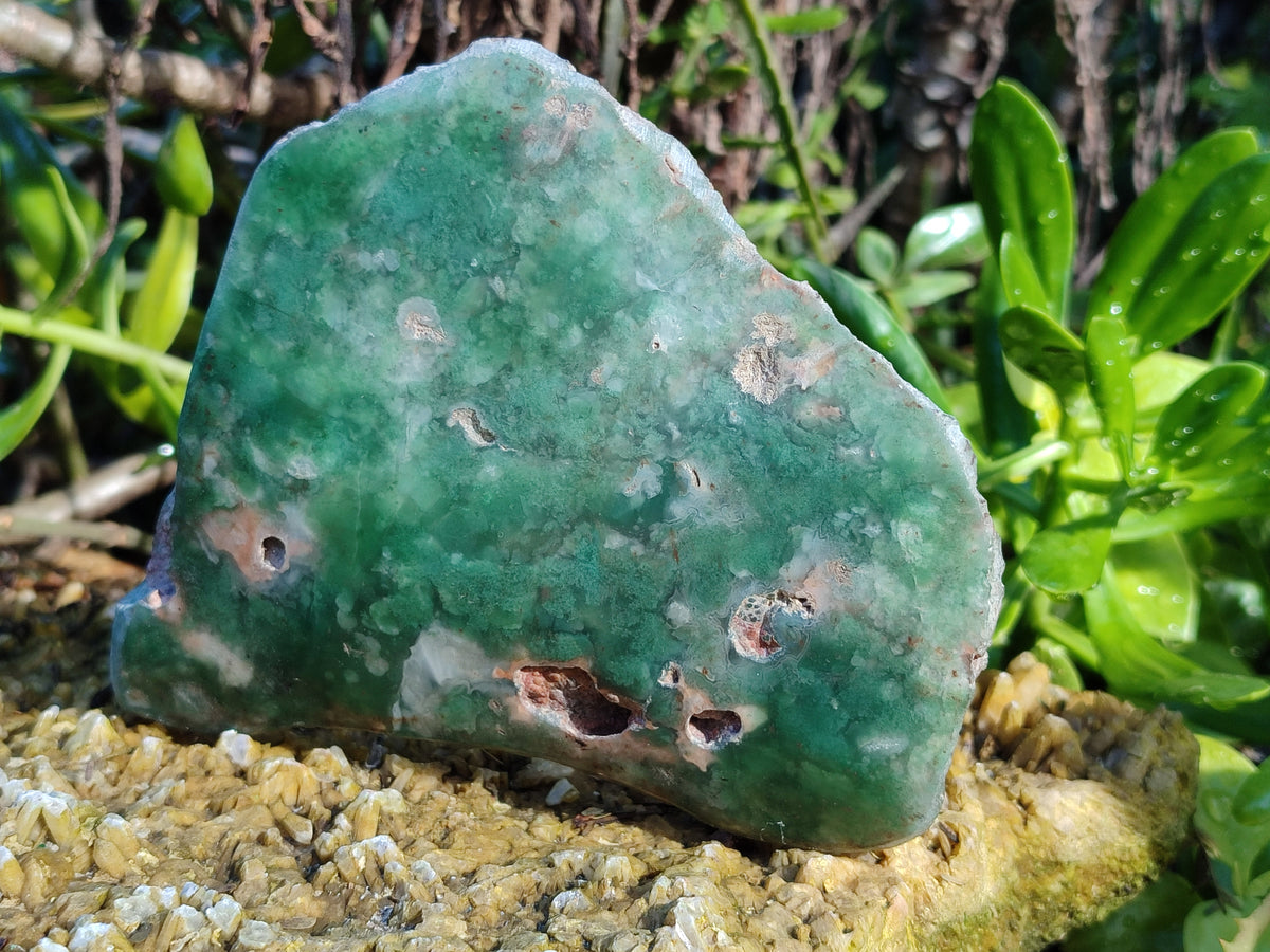 Polished On One Side Emerald Mtorolite Plates x 3 From Mutorashanga, Zimbabwe - Toprock Gemstones and Minerals 