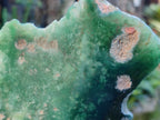 Polished On One Side Emerald Mtorolite Plates x 3 From Mutorashanga, Zimbabwe - Toprock Gemstones and Minerals 
