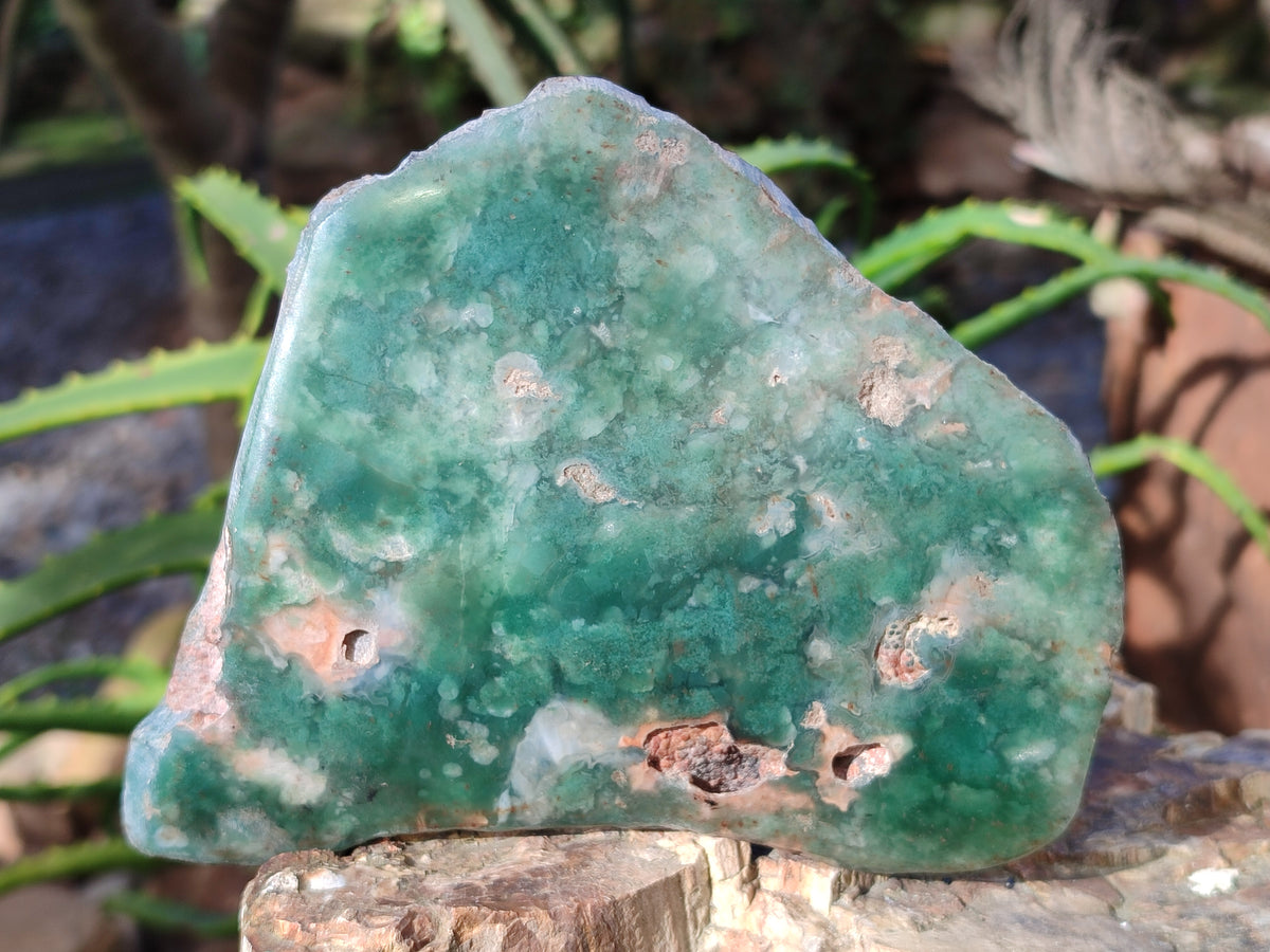 Polished On One Side Emerald Mtorolite Plates x 3 From Mutorashanga, Zimbabwe - Toprock Gemstones and Minerals 