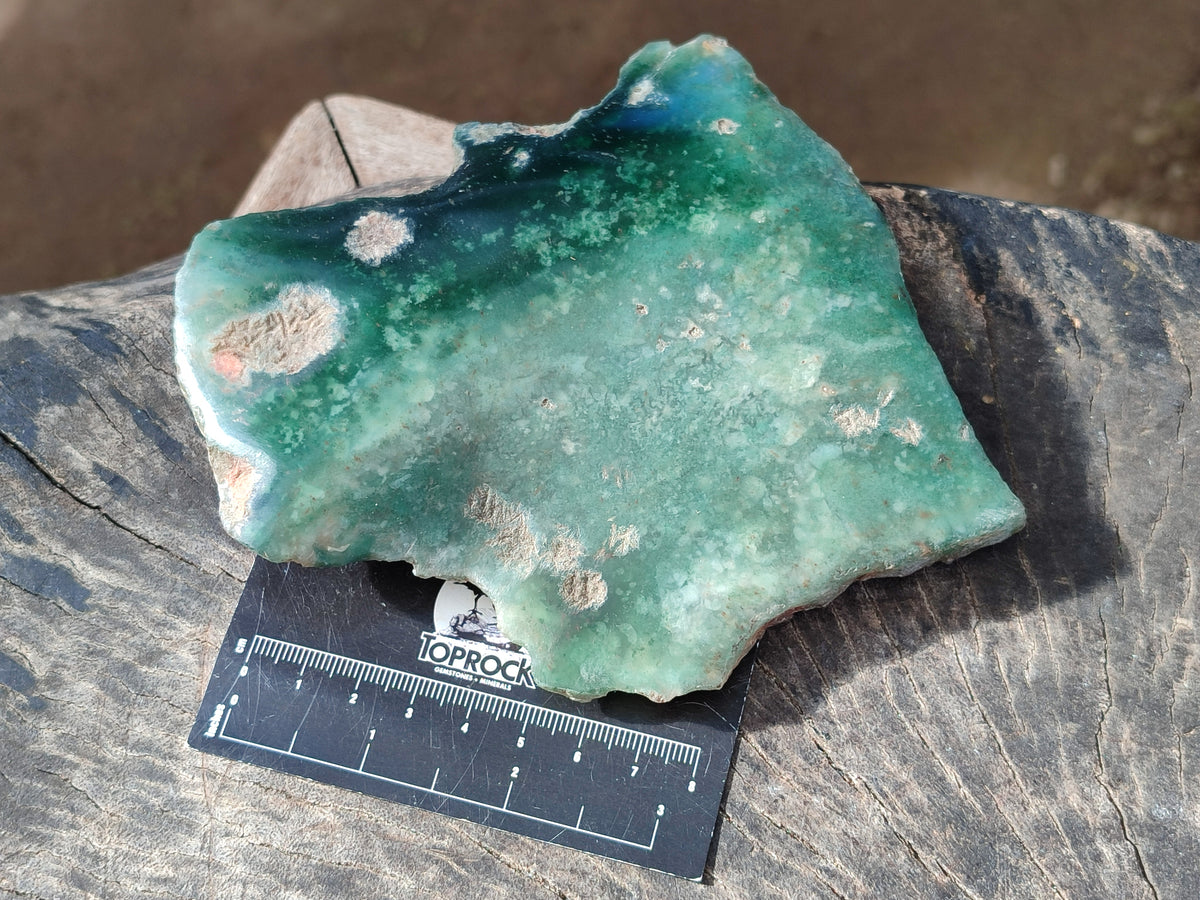 Polished On One Side Emerald Mtorolite Plates x 3 From Mutorashanga, Zimbabwe - Toprock Gemstones and Minerals 