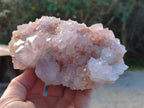 Natural Lilic Cactus Spirit Quartz Clusters x 3 From South Africa - Toprock Gemstones and Minerals 