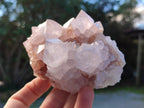 Natural Lilic Cactus Spirit Quartz Clusters x 3 From South Africa - Toprock Gemstones and Minerals 