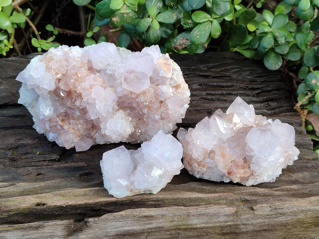 Natural Lilic Cactus Spirit Quartz Clusters x 3 From South Africa - Toprock Gemstones and Minerals 