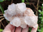 Natural Lilic Cactus Spirit Quartz Clusters x 3 From South Africa - Toprock Gemstones and Minerals 