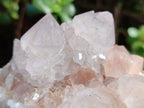 Natural Lilic Cactus Spirit Quartz Clusters x 3 From South Africa - Toprock Gemstones and Minerals 