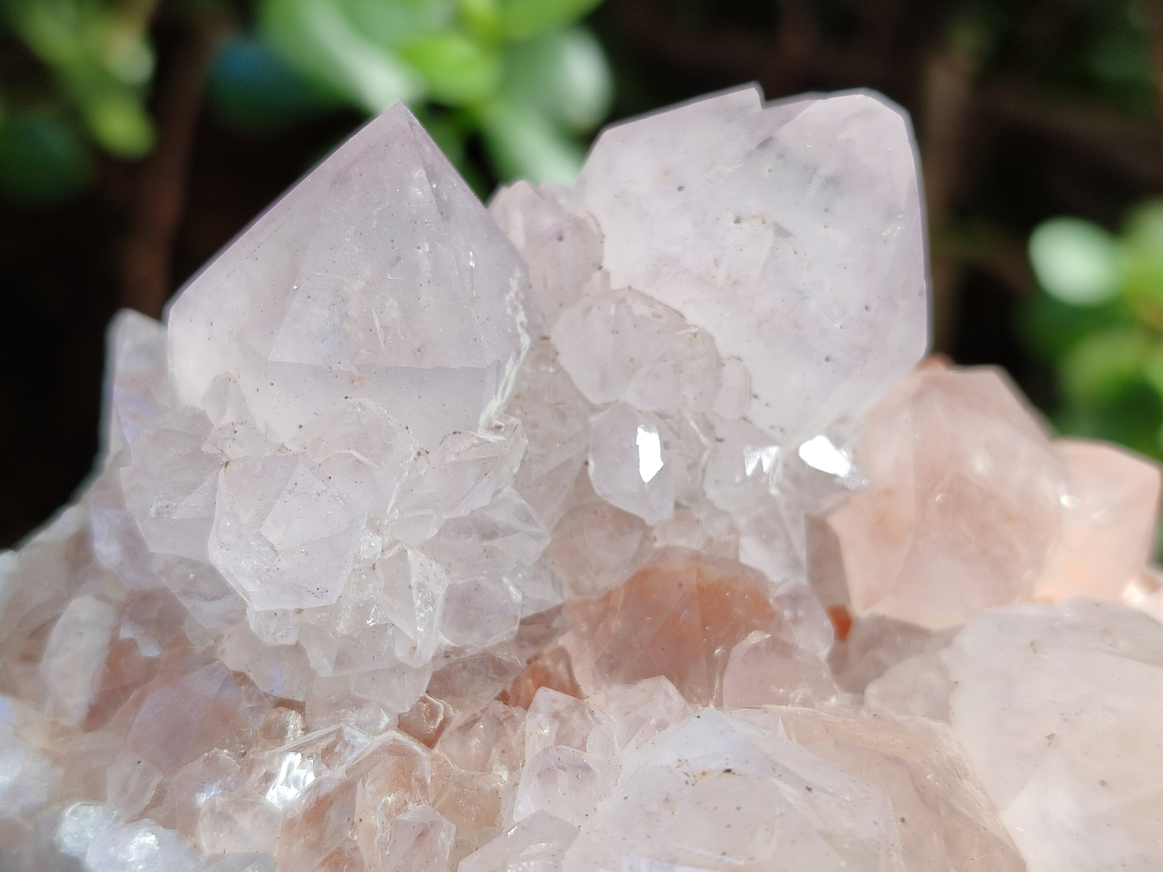 Natural Lilic Cactus Spirit Quartz Clusters x 3 From South Africa - Toprock Gemstones and Minerals 