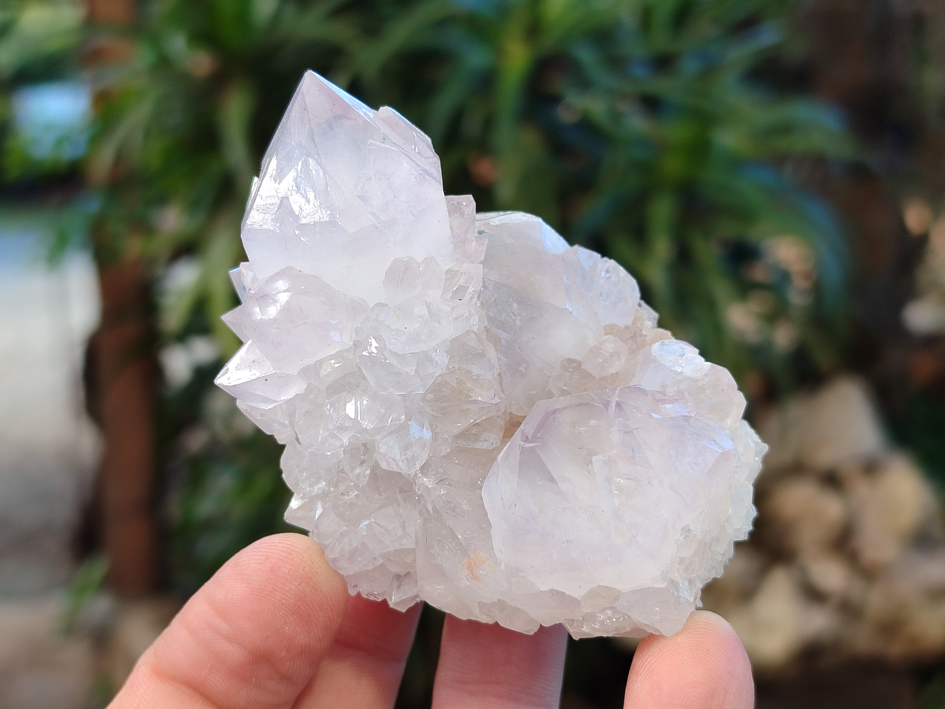 Natural Lilic Cactus Spirit Quartz Clusters x 3 From South Africa - Toprock Gemstones and Minerals 