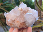 Natural Lilic Cactus Spirit Quartz Clusters x 3 From South Africa - Toprock Gemstones and Minerals 