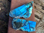 Polished On One Side Labradorite Plates x 12 From Tulear, Madagascar - Toprock Gemstones and Minerals 