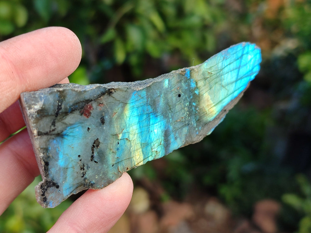 Polished On One Side Labradorite Plates x 12 From Tulear, Madagascar - Toprock Gemstones and Minerals 