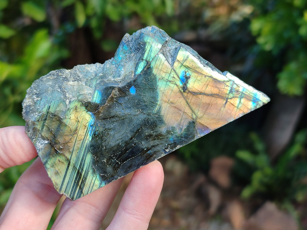 Polished On One Side Labradorite Plates x 12 From Tulear, Madagascar - Toprock Gemstones and Minerals 