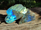 Polished On One Side Labradorite Plates x 12 From Tulear, Madagascar - Toprock Gemstones and Minerals 