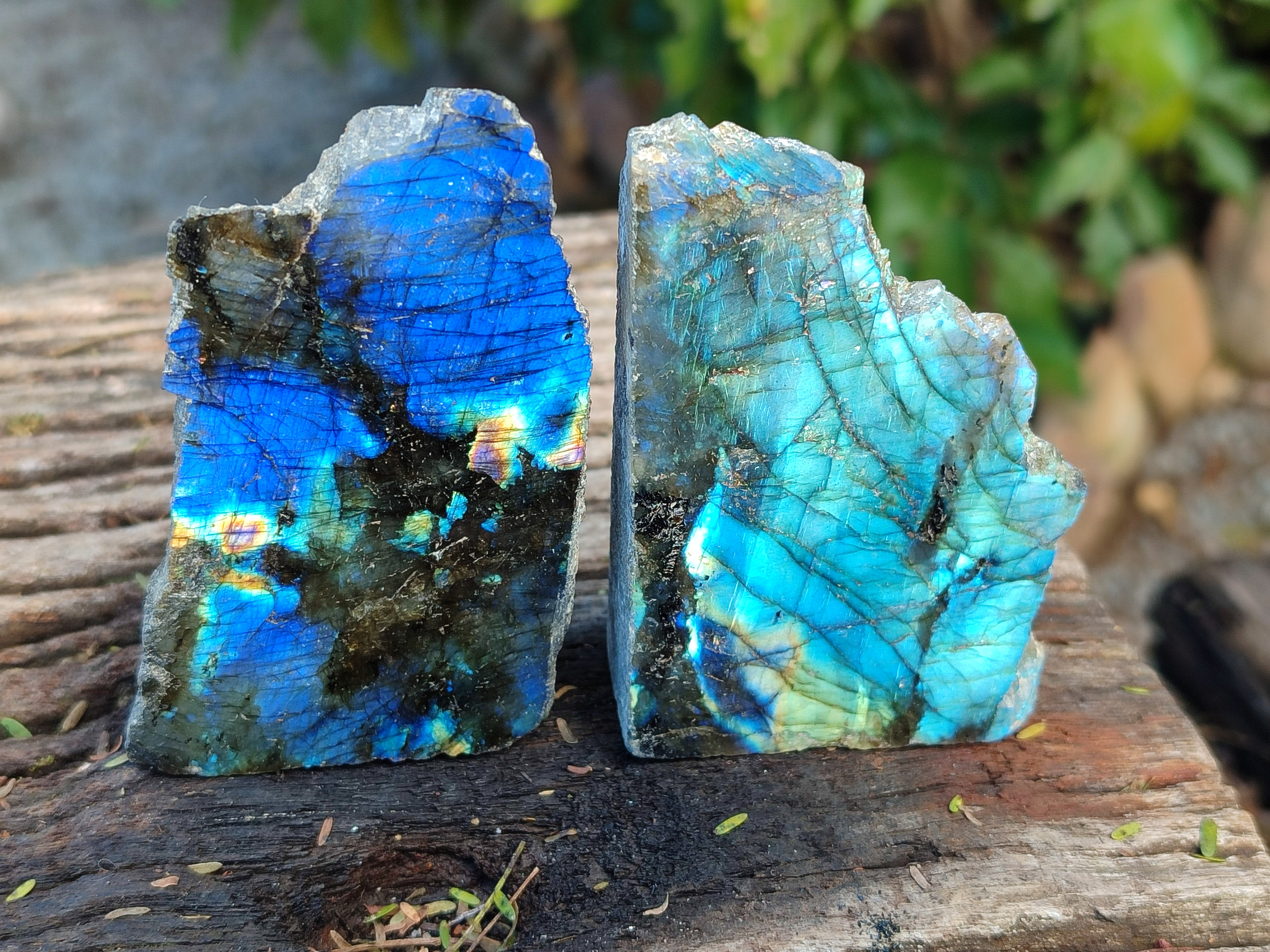 Polished On One Side Labradorite Plates x 12 From Tulear, Madagascar - Toprock Gemstones and Minerals 