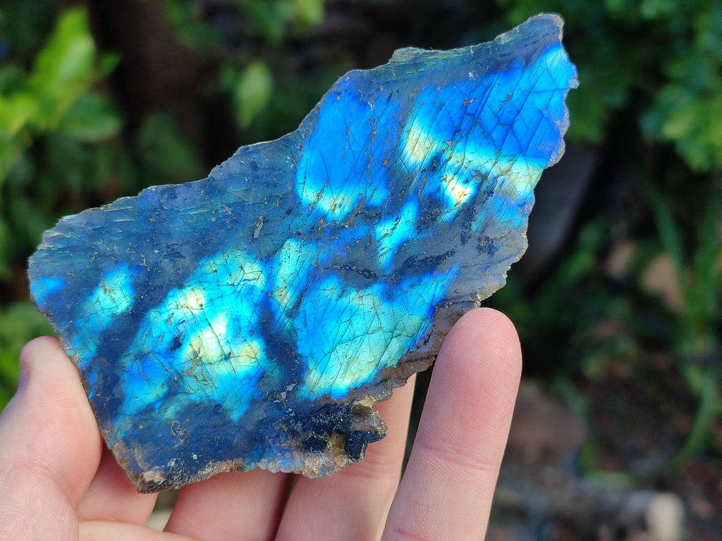 Polished On One Side Labradorite Plates x 12 From Tulear, Madagascar - Toprock Gemstones and Minerals 