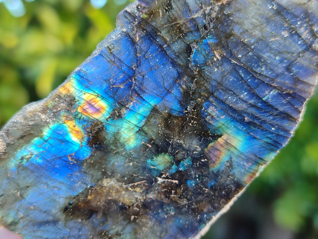 Polished On One Side Labradorite Plates x 12 From Tulear, Madagascar - Toprock Gemstones and Minerals 