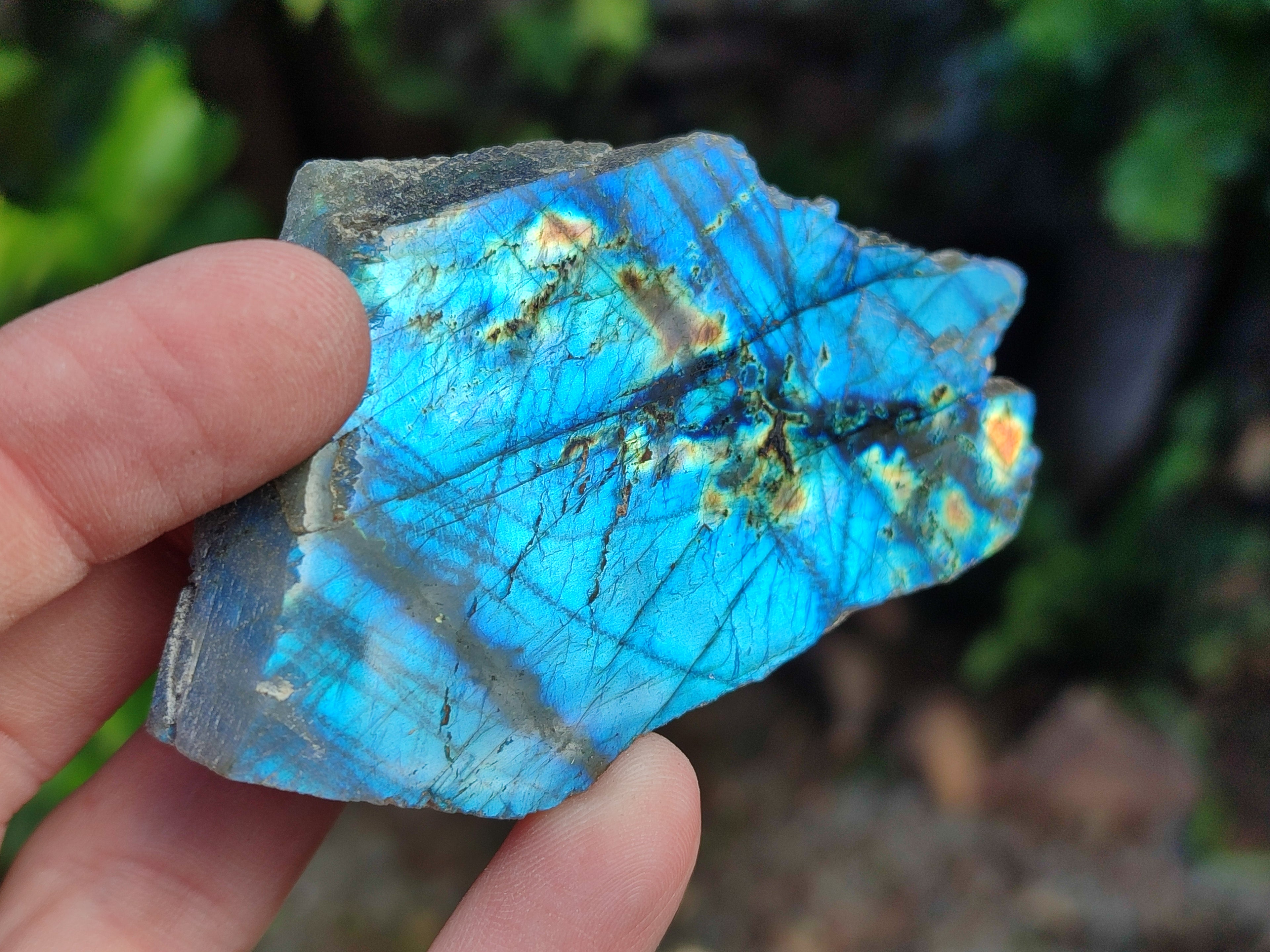Polished On One Side Labradorite Plates x 12 From Tulear, Madagascar - Toprock Gemstones and Minerals 