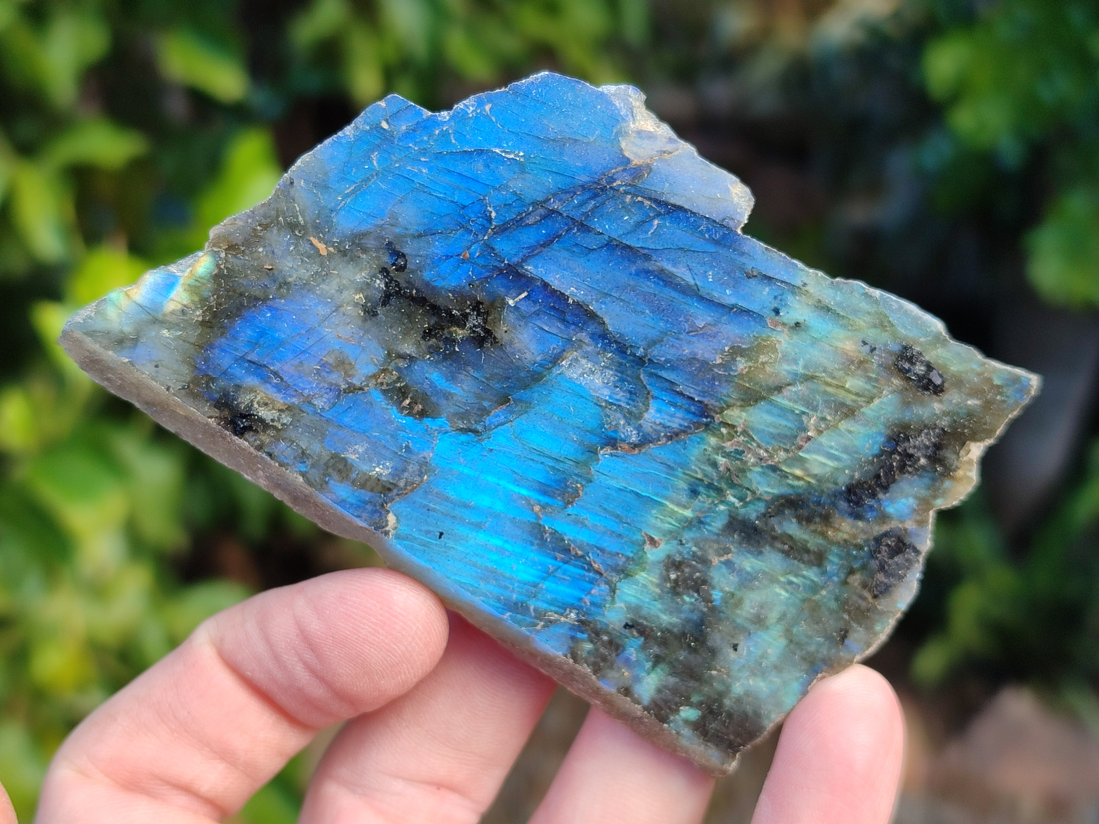 Polished On One Side Labradorite Plates x 12 From Tulear, Madagascar - Toprock Gemstones and Minerals 