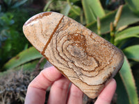 Polished Picture Stone Jasper Standing Free Forms x 4 From Ais-Ais, Namibia - Toprock Gemstones and Minerals 