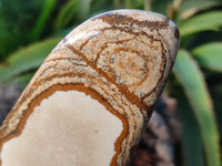 Polished Picture Stone Jasper Standing Free Forms x 4 From Ais-Ais, Namibia - Toprock Gemstones and Minerals 