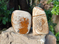 Polished Picture Stone Jasper Standing Free Forms x 4 From Ais-Ais, Namibia - Toprock Gemstones and Minerals 