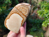 Polished Picture Stone Jasper Standing Free Forms x 4 From Ais-Ais, Namibia - Toprock Gemstones and Minerals 