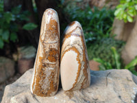 Polished Picture Stone Jasper Standing Free Forms x 4 From Ais-Ais, Namibia - Toprock Gemstones and Minerals 