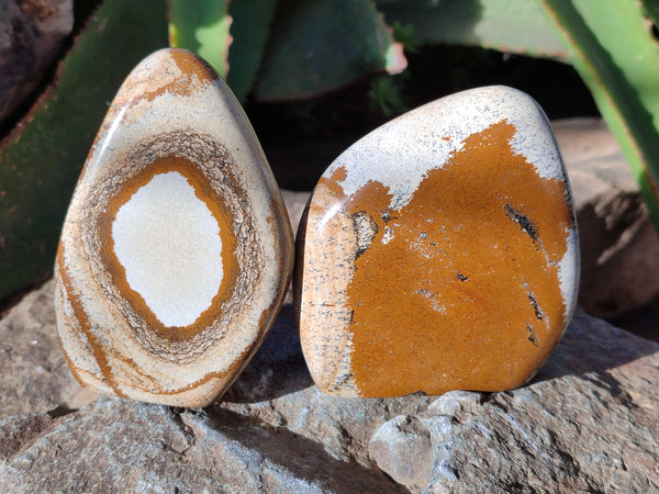 Polished Picture Stone Jasper Standing Free Forms x 4 From Ais-Ais, Namibia