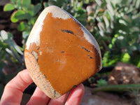 Polished Picture Stone Jasper Standing Free Forms x 4 From Ais-Ais, Namibia - Toprock Gemstones and Minerals 
