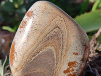 Polished Picture Stone Jasper Standing Free Forms x 4 From Ais-Ais, Namibia - Toprock Gemstones and Minerals 