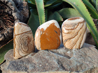Polished Picture Stone Jasper Standing Free Forms x 4 From Ais-Ais, Namibia - Toprock Gemstones and Minerals 