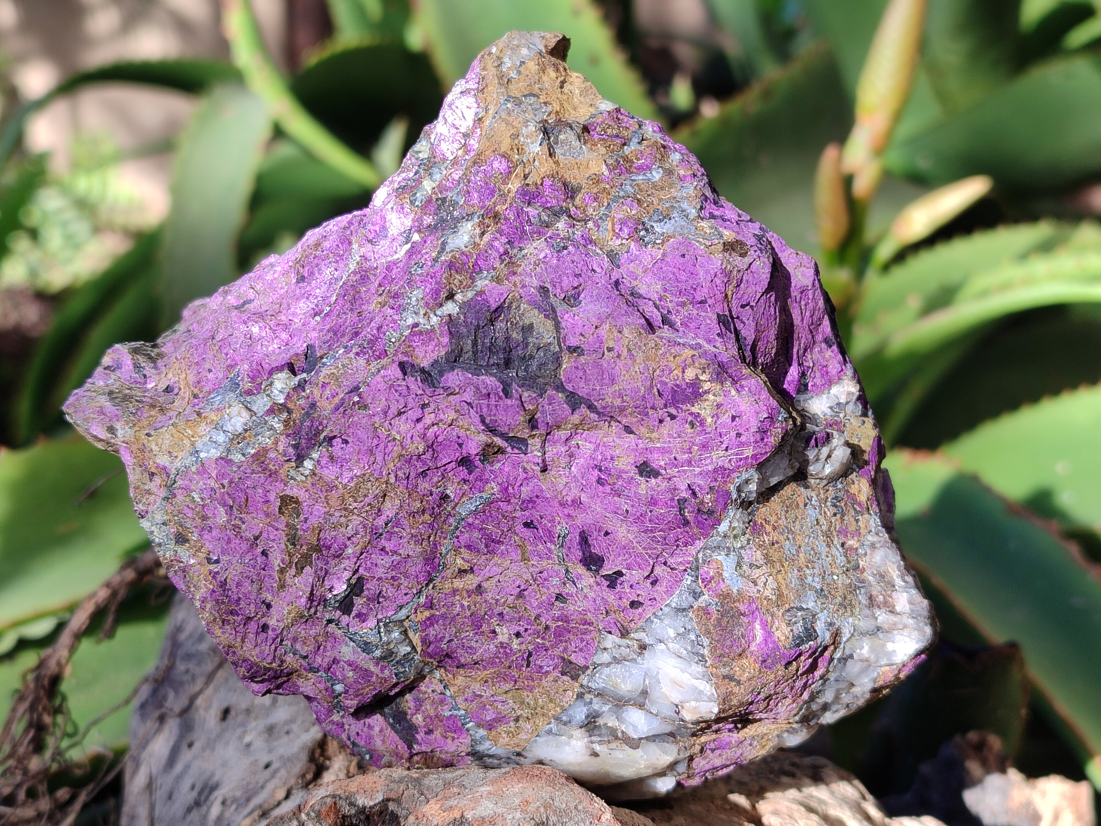 Natural Metallic Purpurite Cobbed Specimens x 3 From Erongo, Namibia - Toprock Gemstones and Minerals 