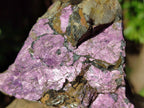 Natural Metallic Purpurite Cobbed Specimens x 3 From Erongo, Namibia - Toprock Gemstones and Minerals 