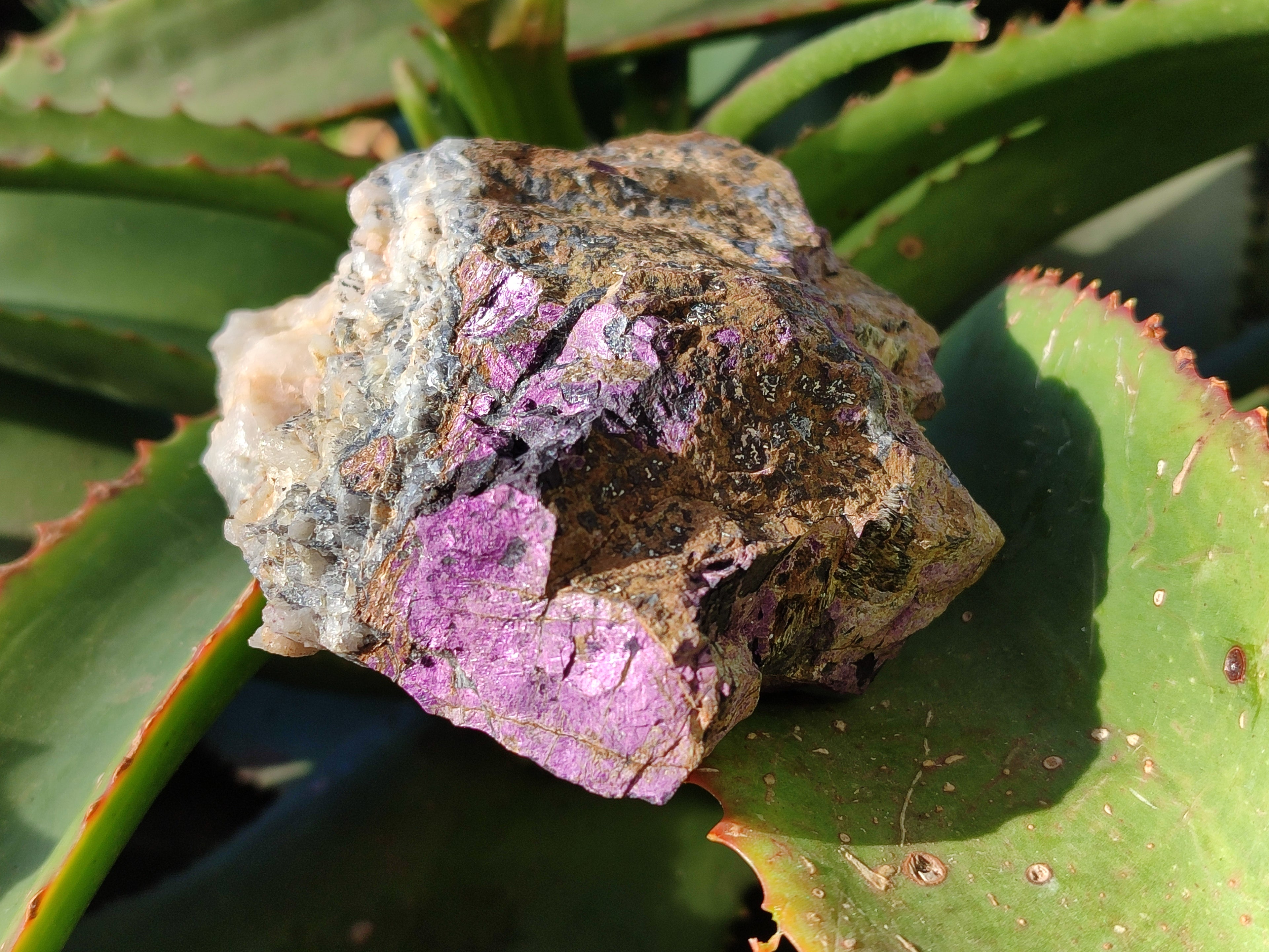 Natural Metallic Purpurite Cobbed Specimens x 3 From Erongo, Namibia - Toprock Gemstones and Minerals 