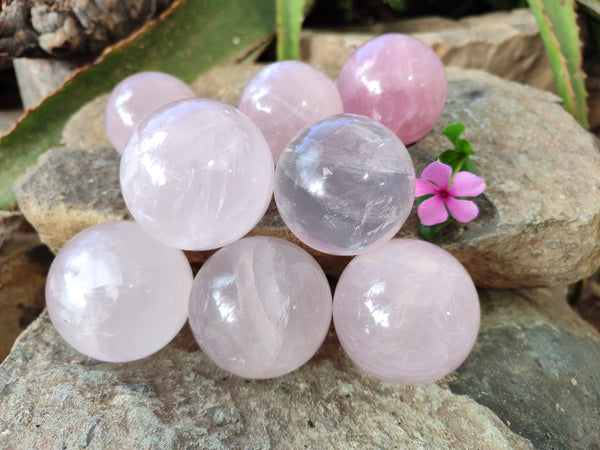 Polished Rose Quartz Spheres x 8 From Ambatondrazaka, Madagascar - Toprock Gemstones and Minerals 