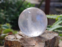 Polished Rose Quartz Spheres x 8 From Ambatondrazaka, Madagascar - Toprock Gemstones and Minerals 