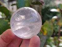 Polished Rose Quartz Spheres x 8 From Ambatondrazaka, Madagascar - Toprock Gemstones and Minerals 