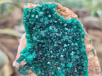 Natural Dioptase On Dolomite with Malachite Specimens x 2 From Likasi, Congo - Toprock Gemstones and Minerals 