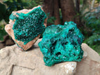Natural Dioptase On Dolomite with Malachite Specimens x 2 From Likasi, Congo - Toprock Gemstones and Minerals 